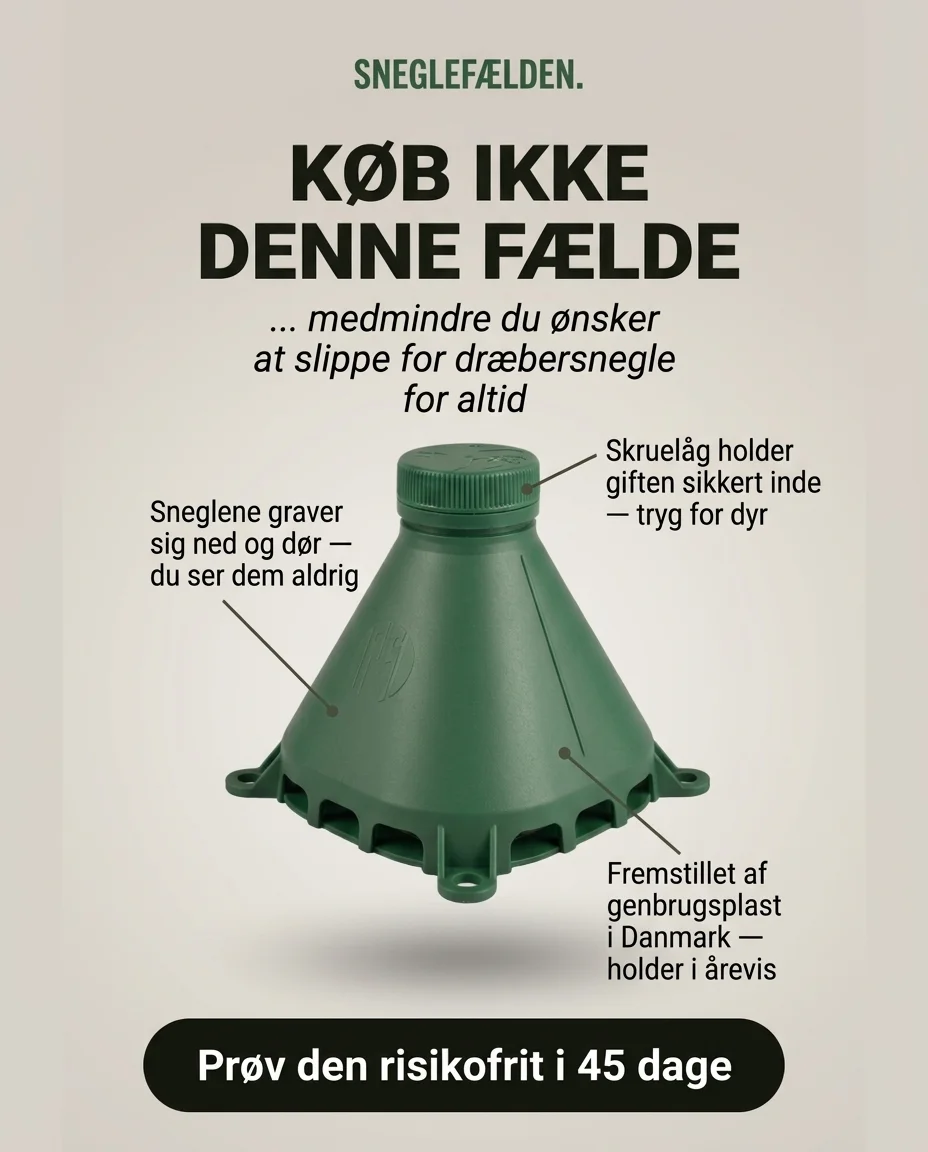 Static ad kreativ 11