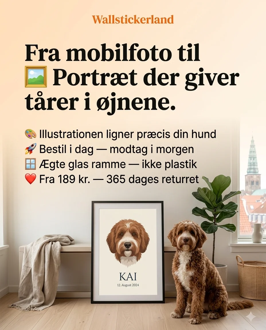 Static ad kreativ 24