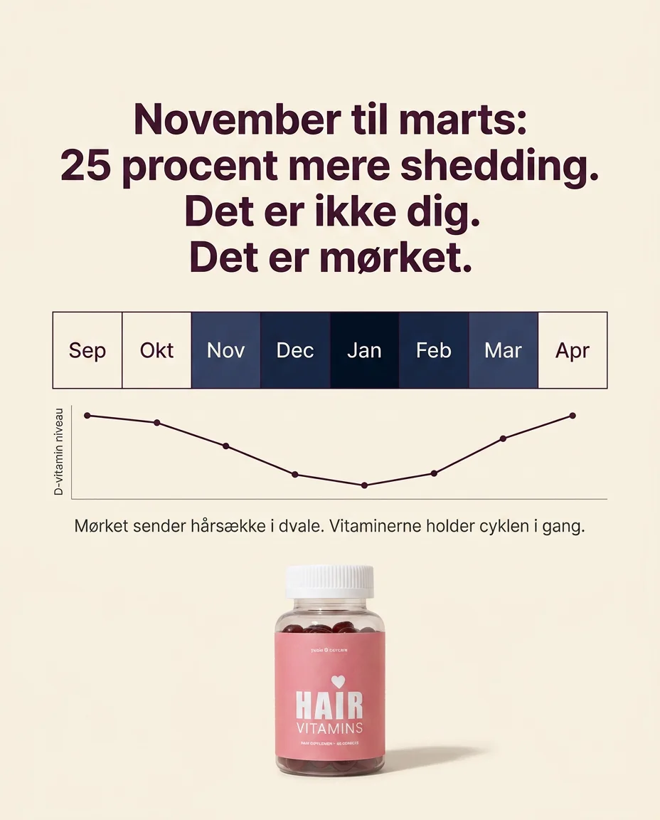 Static ad kreativ 53