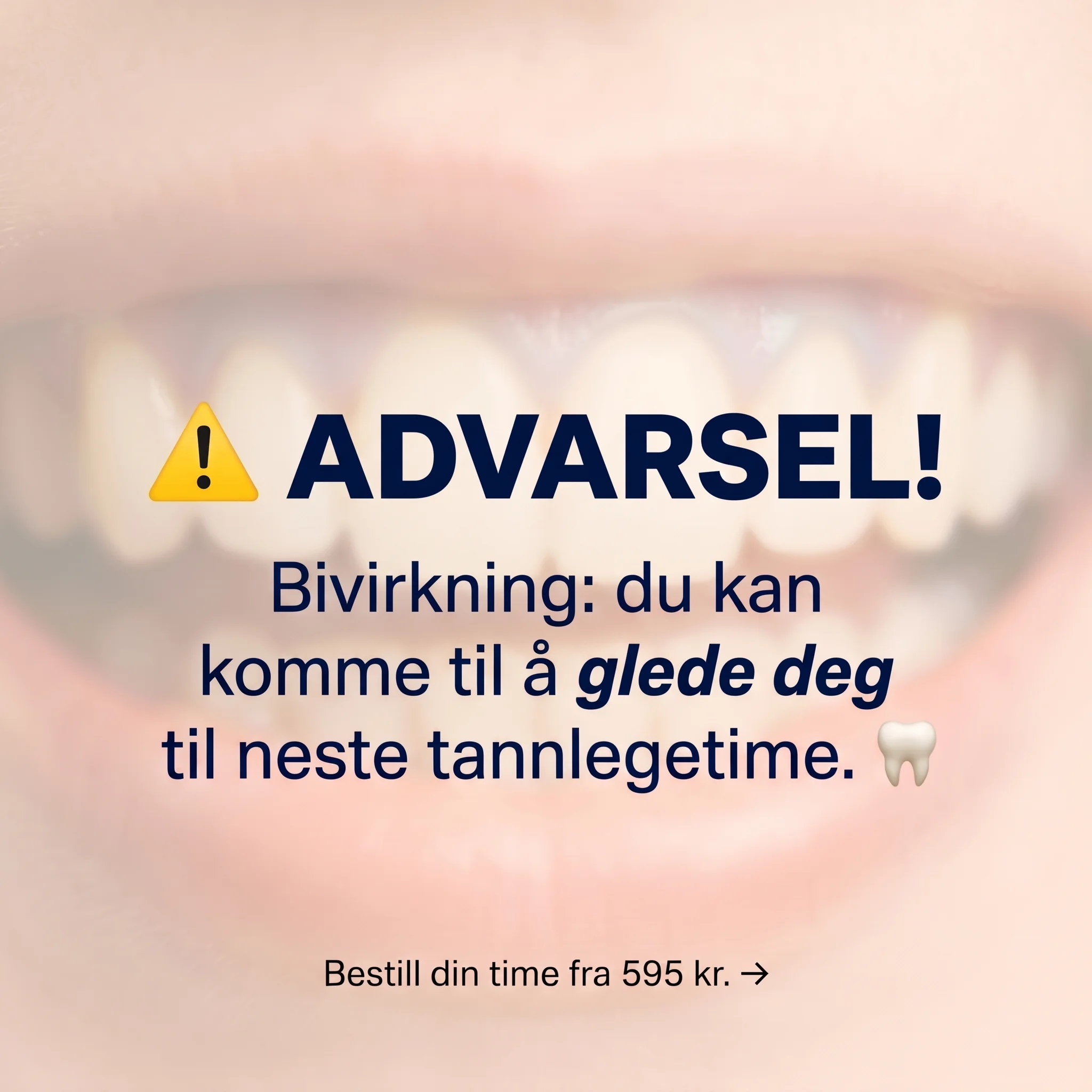 Static ad kreativ 55